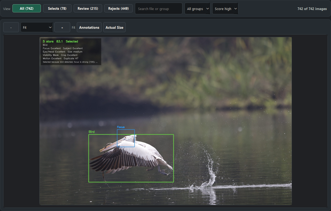 SelectB review workspace